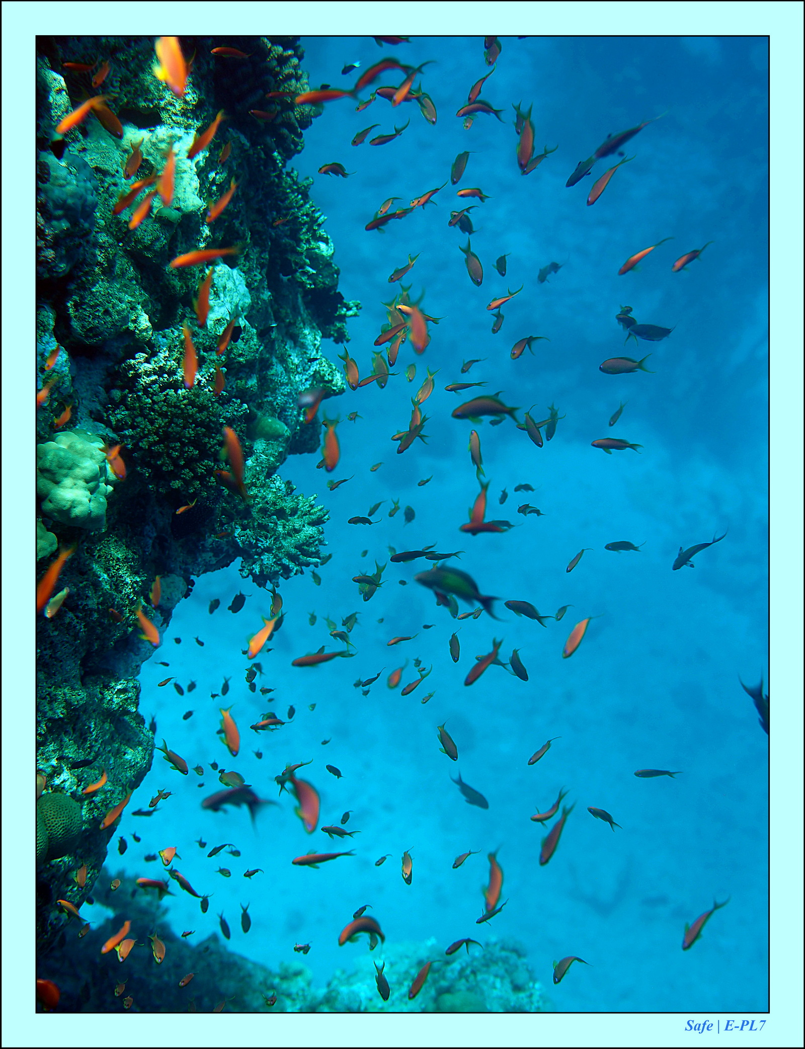 Hurghada - Aout 2021 - 027